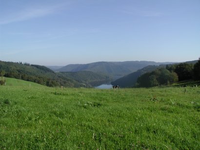 Rursee bei Jägersweiler